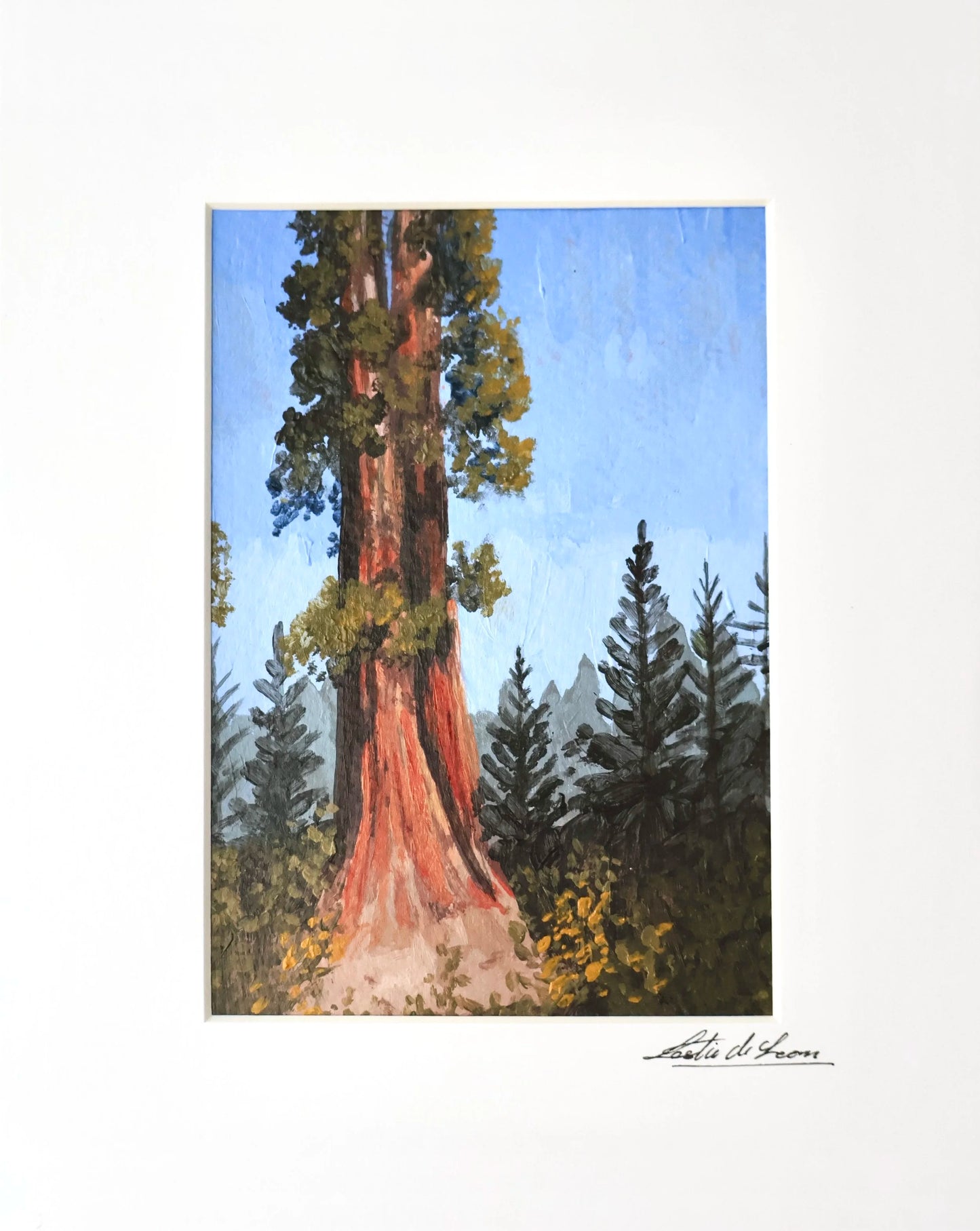 Sequoia Study - Original