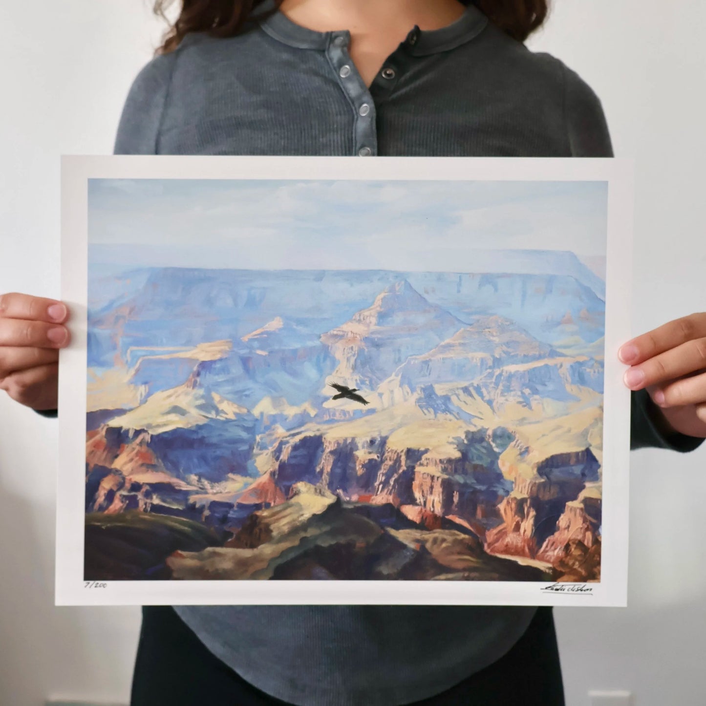 Grand Canyon Flight - Limited Edition Print