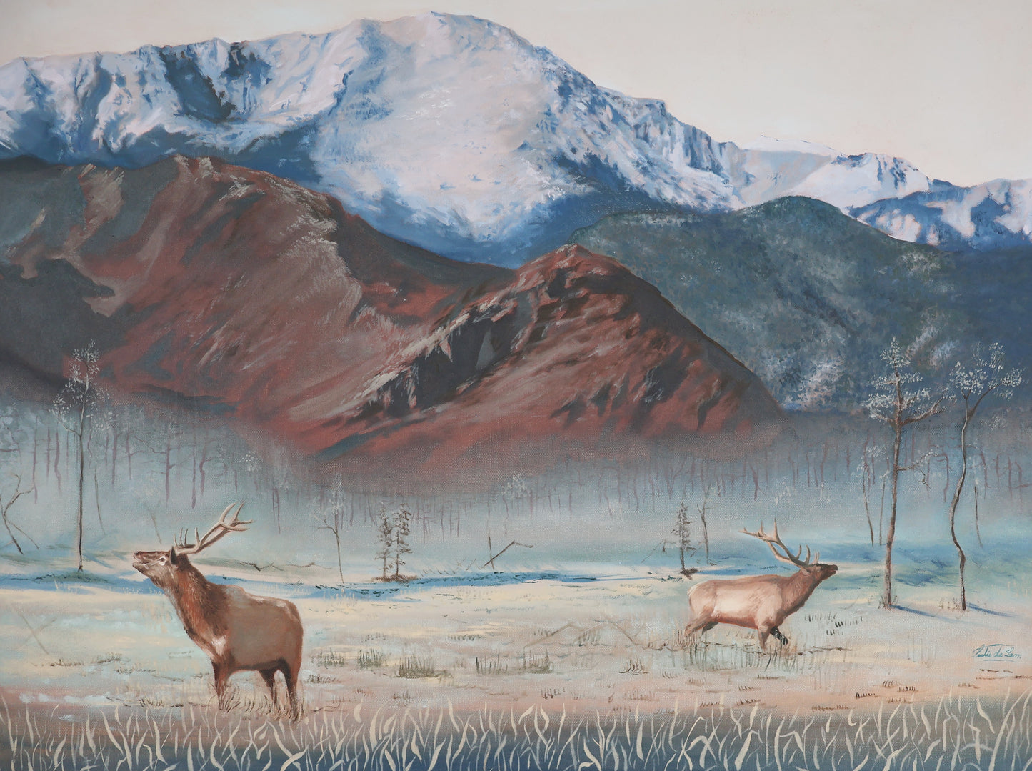 Colorado Winter - Limited Edition Print