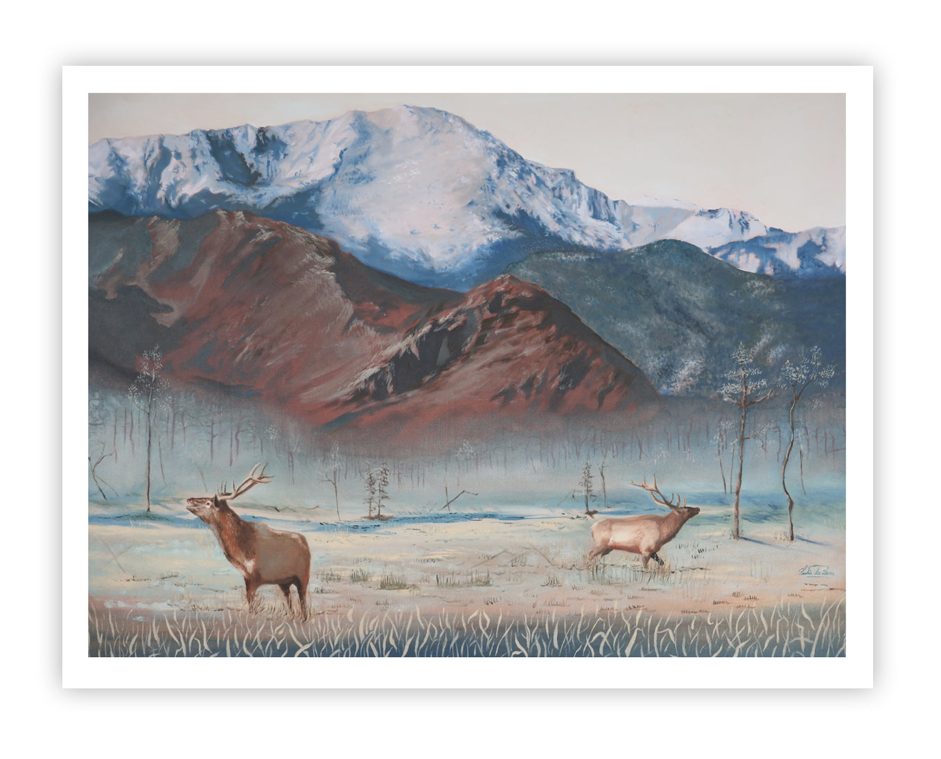 Colorado Winter - Limited Edition Print