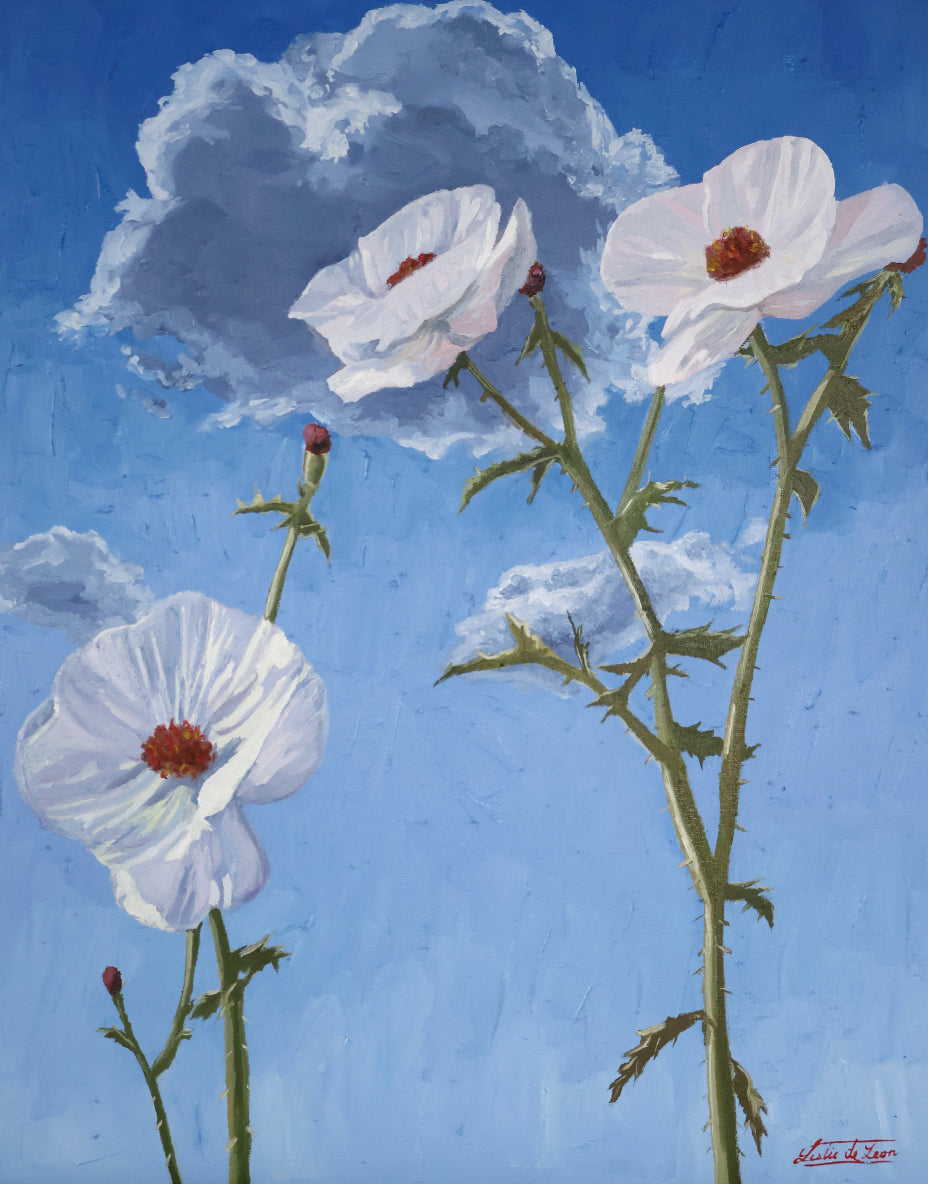 Texas Wildflowers - Original