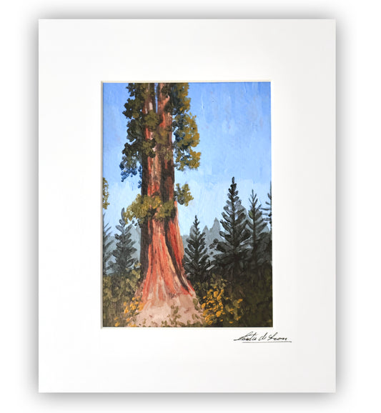Sequoia Study - Original